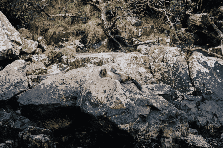 2 Feature Images 1920x1080px (9)